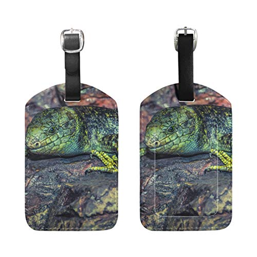 Montoj Lizard - Etiquetas para Maleta (2 Unidades), diseño de Lagarto Montoj Lizard - Etiquetas para Maleta (2 Unidades), diseño de Lagarto