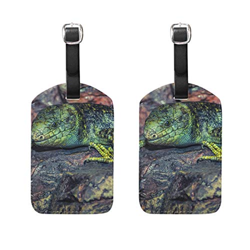 Montoj Lizard - Etiquetas para Maleta (2 Unidades), diseño de Lagarto Montoj Lizard - Etiquetas para Maleta (2 Unidades), diseño de Lagarto