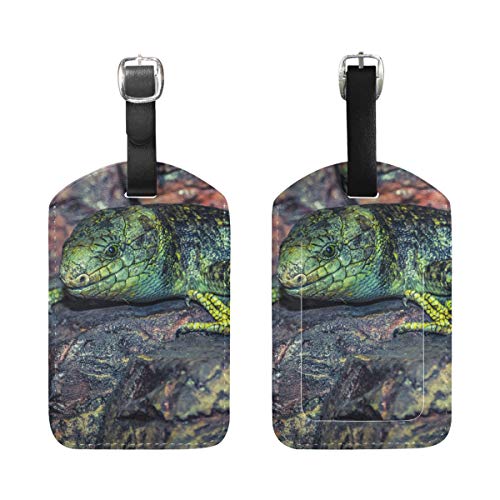 Montoj Lizard - Etiquetas para Maleta (2 Unidades), diseño de Lagarto Montoj Lizard - Etiquetas para Maleta (2 Unidades), diseño de Lagarto