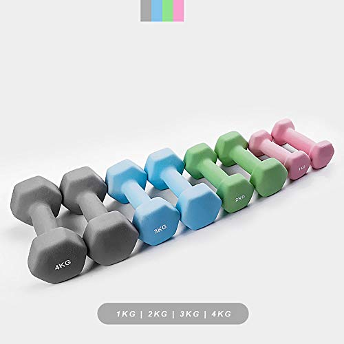 MQQ Plástico Que Adelgaza la Pesa del hogar Brazo Delgado Dip plástico con Mancuernas Equipo de la Aptitud Universal (Color : 2KG*2) MQQ Plástico Que Adelgaza la Pesa del hogar Brazo Delgado Dip plástico con Mancuernas Equipo de la Aptitud Universal (Color : 2KG*2)