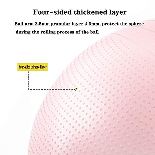 MQSS - Pelota de parto y parto de embarazo, pelota de yoga de ejercicio, balón de equilibrio antideslizante para entrenamiento, yoga, entrenamiento, color Morado, tamaño 55 cm MQSS - Pelota de parto y parto de embarazo, pelota de yoga de ejercicio, balón de equilibrio antideslizante para entrenamiento, yoga, entrenamiento, color Morado, tamaño 55 cm
