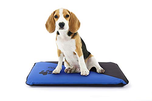 Mr.Doggy Colchoneta Personalizada para Perros - Impermeable y Resistente - Colchón para Perro Grande, Pequeño y Mediano - Exterior e Interior - Cama Antimordeduras (L (105x75x6cm), Azul) Mr.Doggy Colchoneta Personalizada para Perros - Impermeable y Resistente - Colchón para Perro Grande, Pequeño y Mediano - Exterior e Interior - Cama Antimordeduras (L (105x75x6cm), Azul)