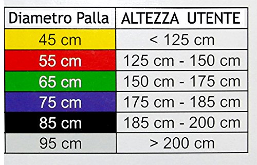 MSD - Pelota de 95 cm plateada antiexplosión + bomba + 2 tapones. Altura del usuario: más de 2 m. Psicomotora Swiss Fitball Anti Burst AB Gym Ball