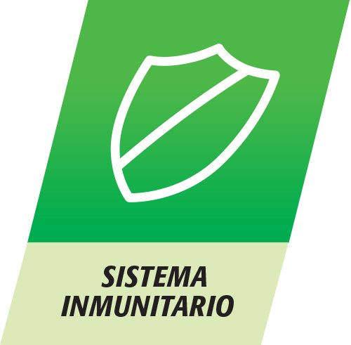 Multicentrum, Complemento Alimenticio con 13 Vitaminas y 11 Minerales, para Adultos y Adolescentes a partir de 12 años - 90 Comprimidos Multicentrum, Complemento Alimenticio con 13 Vitaminas y 11 Minerales, para Adultos y Adolescentes a partir de 12 años - 90 Comprimidos