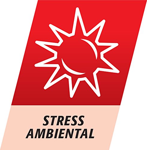 Multicentrum, Complemento Alimenticio con 13 Vitaminas y 11 Minerales, para Adultos y Adolescentes a partir de 12 años - 90 Comprimidos Multicentrum, Complemento Alimenticio con 13 Vitaminas y 11 Minerales, para Adultos y Adolescentes a partir de 12 años - 90 Comprimidos