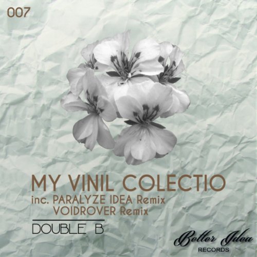 My Vinil Colectio (VoidRover Remix)