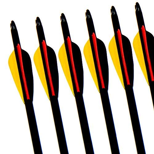 Narchery Tiro con Arco Flechas y Saetas, 31" Pulgadas Arcos y Flechas para Caza o práctica, Incluye Flechas reemplazos, Tres vanes plásticos, Hecho en Carbono Mixta, Tres Colores Multi, 12 pcs