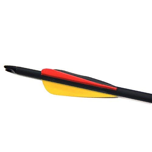 Narchery Tiro con Arco Flechas y Saetas, 31" Pulgadas Arcos y Flechas para Caza o práctica, Incluye Flechas reemplazos, Tres vanes plásticos, Hecho en Carbono Mixta, Tres Colores Multi, 12 pcs Narchery Tiro con Arco Flechas y Saetas, 31" Pulgadas Arcos y Flechas para Caza o práctica, Incluye Flechas reemplazos, Tres vanes plásticos, Hecho en Carbono Mixta, Tres Colores Multi, 12 pcs