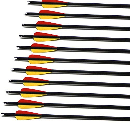 Narchery Tiro con Arco Flechas y Saetas, 31" Pulgadas Arcos y Flechas para Caza o práctica, Incluye Flechas reemplazos, Tres vanes plásticos, Hecho en Carbono Mixta, Tres Colores Multi, 12 pcs