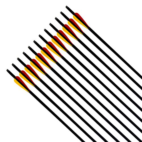 Narchery Tiro con Arco Flechas y Saetas, 31" Pulgadas Arcos y Flechas para Caza o práctica, Incluye Flechas reemplazos, Tres vanes plásticos, Hecho en Carbono Mixta, Tres Colores Multi, 12 pcs Narchery Tiro con Arco Flechas y Saetas, 31" Pulgadas Arcos y Flechas para Caza o práctica, Incluye Flechas reemplazos, Tres vanes plásticos, Hecho en Carbono Mixta, Tres Colores Multi, 12 pcs