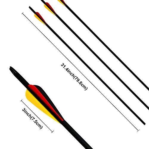 Narchery Tiro con Arco Flechas y Saetas, 31" Pulgadas Arcos y Flechas para Caza o práctica, Incluye Flechas reemplazos, Tres vanes plásticos, Hecho en Carbono Mixta, Tres Colores Multi, 12 pcs