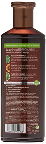 NATUR VITAL champú protección color cabellos castaños bote 300 ml