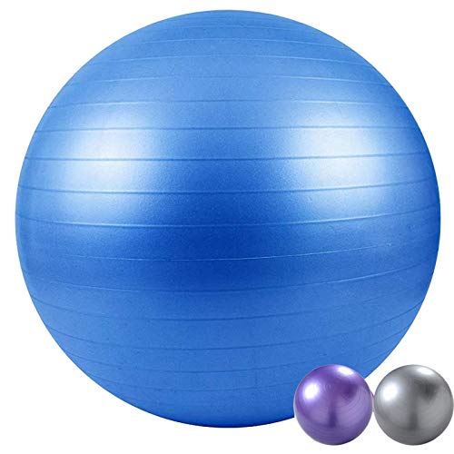 Natural Logistics Fitball 65-75cm. Pelota de Yoga, Pilates, Fitness (Azul, 75)