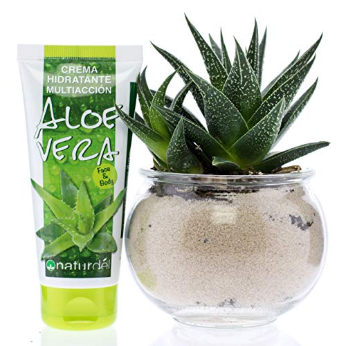 NATURDEL Crema Hidratante Multiacción Aloe Vera Face & Body 100 ml