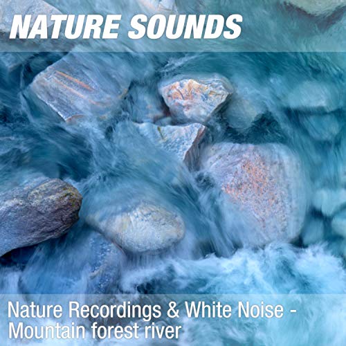 Nature Sounds for Ashtanga Yoga & Breathing Meditation (Calm woodland stream) 05