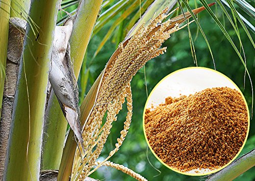 Naturseed Azucar De Coco - 100% Puro y Ecológico - Apto Para Diabéticos Con Un IG 35 - El Edulcorante Más Sano y Nutritivo - Sin aditivos Ni Conservantes - Ebook Pdf De Regalo Con Recetas. (500GR) Naturseed Azucar De Coco - 100% Puro y Ecológico - Apto Para Diabéticos Con Un IG 35 - El Edulcorante Más Sano y Nutritivo - Sin aditivos Ni Conservantes - Ebook Pdf De Regalo Con Recetas. (500GR)