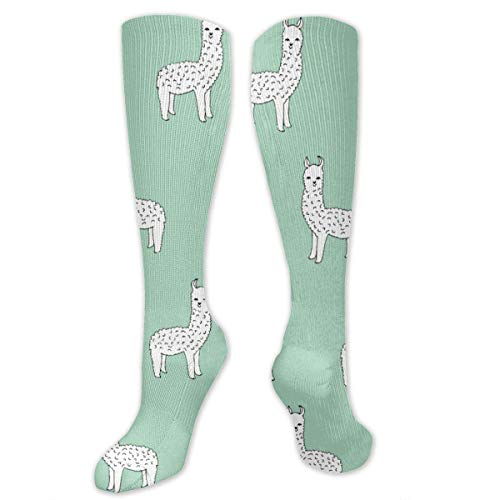 NE Men Women Youth Girls Casual Socks - Fit Athletic, Medical, Pregnancy, Travel - Novelty Fashion Gift (Nature Candle Bamboo Zen Garden) NE Men Women Youth Girls Casual Socks - Fit Athletic, Medical, Pregnancy, Travel - Novelty Fashion Gift (Nature Candle Bamboo Zen Garden)