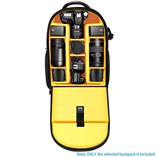 Neewer 2-en-1 Mochila Convertible con Ruedas Anti-Choque Compartimiento Acolchado Desmontable Impermeable Durable para Cámara / Trípode/ Lente Neewer 2-en-1 Mochila Convertible con Ruedas Anti-Choque Compartimiento Acolchado Desmontable Impermeable Durable para Cámara / Trípode/ Lente