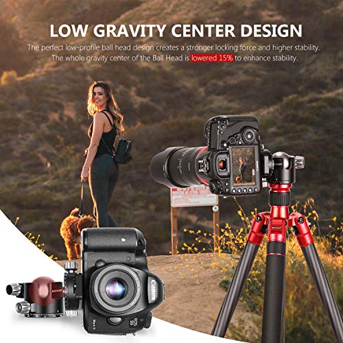 Neewer 44mm Cabezal Bola Bajo Perfil Cabezal Trípode Cámara Panorámica con Placa QR 360° y Abrazadera CNC Metal Doble Muesca en U para Cámaras DSLR Trípodes Monopie Carga 25kg Modo Vertical/Horizontal Neewer 44mm Cabezal Bola Bajo Perfil Cabezal Trípode Cámara Panorámica con Placa QR 360° y Abrazadera CNC Metal Doble Muesca en U para Cámaras DSLR Trípodes Monopie Carga 25kg Modo Vertical/Horizontal