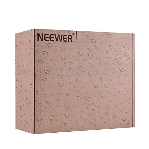 Neewer® Cargador de batería Micro USB + 2 baterías de Repuesto de 2600 mAh NP-F550/570/530 para Sony HandyCams, Neewer Nanguang CN-160, CN-216, CN-126 LED Light, Polaroid On-Camera Video Lights Neewer® Cargador de batería Micro USB + 2 baterías de Repuesto de 2600 mAh NP-F550/570/530 para Sony HandyCams, Neewer Nanguang CN-160, CN-216, CN-126 LED Light, Polaroid On-Camera Video Lights