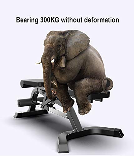 NEWWF Fitness Banco Multifuncional Mancuernas Heces De Aves De Banco De Rodillos De Prensa Principal Del Foro Abdominal Aparatos De Ejercicios De Los MĂșsculos Abdominales Bordo Supina Equipo Entrenami NEWWF Fitness Banco Multifuncional Mancuernas Heces De Aves De Banco De Rodillos De Prensa Principal Del Foro Abdominal Aparatos De Ejercicios De Los MĂșsculos Abdominales Bordo Supina Equipo Entrenami