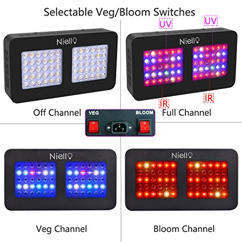 Niello Lente Óptica Dual Serie 300W. Luces LED para el crecimiento de las plantas. Espectro completo para plantas de interior para conseguir crecimiento y floración (dos interruptores,12-bandas) Niello Lente Óptica Dual Serie 300W. Luces LED para el crecimiento de las plantas. Espectro completo para plantas de interior para conseguir crecimiento y floración (dos interruptores,12-bandas)