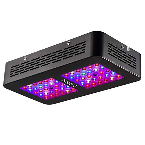 Niello Lente Óptica Dual Serie 300W. Luces LED para el crecimiento de las plantas. Espectro completo para plantas de interior para conseguir crecimiento y floración (dos interruptores,12-bandas）