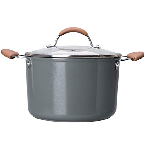 NIHAOA Prioridad Cultura Sopa de Olla de Vidrio Stew Pans Claro Crisol con el hogar Grande del oído Doble Sopa de Olla Olla de Cocina gachas de Avena (Color : Gray, Size : 4900ml)