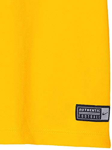 Nike SS YTH Park Vi JSY Short Sleeve Top, Niños, Amarillo (University Gold/Negro), M