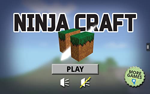 Ninja Craft Free