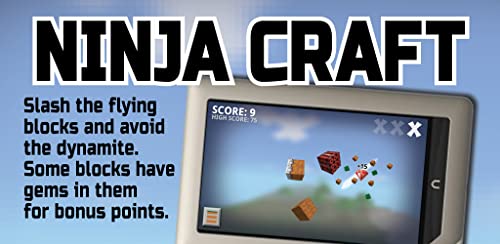 Ninja Craft Free