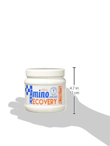 Nutrisport Amino Recovery Polvo - 260 gr