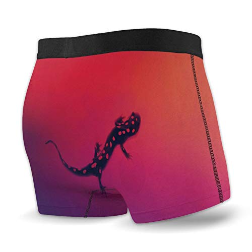 Nuwcense Calzoncillos tipo bóxer para hombre con diseño de lagartos, ropa interior de secado rápido Nuwcense Calzoncillos tipo bóxer para hombre con diseño de lagartos, ropa interior de secado rápido