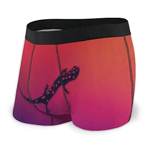 Nuwcense Calzoncillos tipo bóxer para hombre con diseño de lagartos, ropa interior de secado rápido Nuwcense Calzoncillos tipo bóxer para hombre con diseño de lagartos, ropa interior de secado rápido