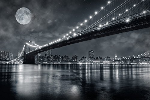 Oedim Fotomural Vinilo Pared Vista Nocturna Nueva York en Blanco y Negro | Fotomurales Pared | Fotomural Decorativo | Mural | Vinilo Decorativo | 200 x 150 cm | Decoración Gimnasios |