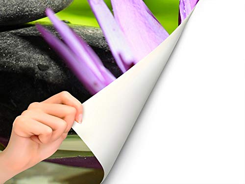 Oedim Vinilo para Frigorífico Piedras Negras y Flor de Loto Zen 185x60cm | Adhesivo Resistente y Económico | Pegatina Adhesiva Decorativa de Diseño Elegante Oedim Vinilo para Frigorífico Piedras Negras y Flor de Loto Zen 185x60cm | Adhesivo Resistente y Económico | Pegatina Adhesiva Decorativa de Diseño Elegante