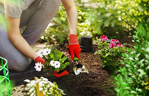 Ohuhu Almohadilla para Rodillas, para Jardinería, Bañar a tu Bebé, Limpiar el Suelo y Rezar - Colchoneta para Rodilla para Jardín, Hacer Ejercicio y Practicar Yoga - 43 x 28 x 3,8 cm Ohuhu Almohadilla para Rodillas, para Jardinería, Bañar a tu Bebé, Limpiar el Suelo y Rezar - Colchoneta para Rodilla para Jardín, Hacer Ejercicio y Practicar Yoga - 43 x 28 x 3,8 cm