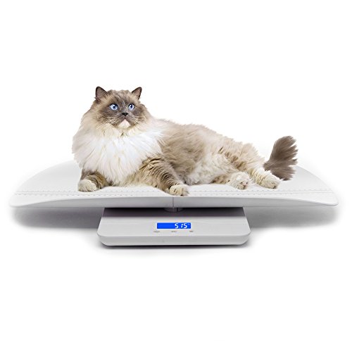 OneTwoThree, balanzas digitales para mascotas diseñadas con precisión, capacidad de 99.8 kilogramos (lb) precisión ± 10 g de peso, bandeja para perros y gatos de 60 cm, color blanco OneTwoThree, balanzas digitales para mascotas diseñadas con precisión, capacidad de 99.8 kilogramos (lb) precisión ± 10 g de peso, bandeja para perros y gatos de 60 cm, color blanco