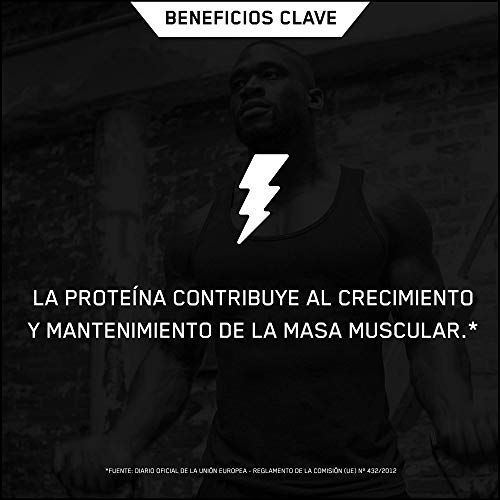 Optimum Nutrition ON 100% Plant Gold Standard, Proteína Vegana en Polvo, para Masa Muscular y Musculacion, fuente de Vitamina C y B12, Chocolate, 19 porciones, 684 g Optimum Nutrition ON 100% Plant Gold Standard, Proteína Vegana en Polvo, para Masa Muscular y Musculacion, fuente de Vitamina C y B12, Chocolate, 19 porciones, 684 g