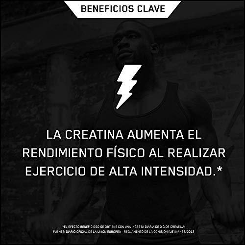 OPTIMUM NUTRITION ON Creatine 2500mg, Creatina en Cápsulas, Suplementos Deportivos de Creatina Monohidrato para Musculacion, Sin Sabor, 100 Porciones, 200 Cápsulas