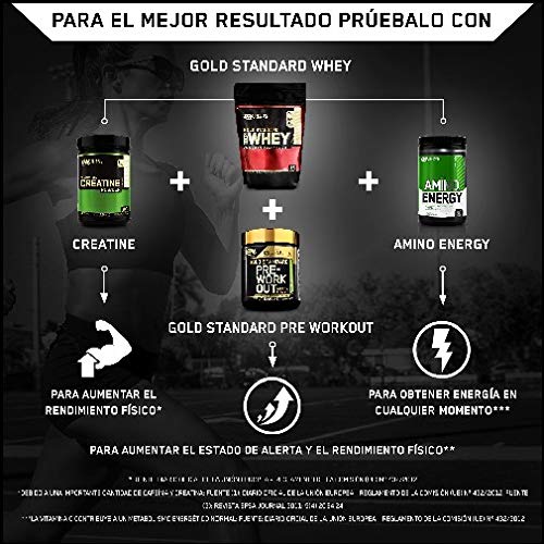 Optimum Nutrition ON Gold Standard 100% Whey Proteína en Polvo Suplementos Deportivos, Glutamina y Aminoacidos, BCAA, Helado de Vainilla, 15 Porciones, 450g, Embalaje Puede Variar