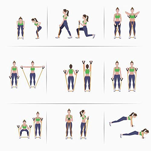 osloon Conjunto de Bandas de Resistencia Entrenamiento de Resistencia, Fisioterapia, Equipamiento Deportivo para el hogar osloon Conjunto de Bandas de Resistencia Entrenamiento de Resistencia, Fisioterapia, Equipamiento Deportivo para el hogar