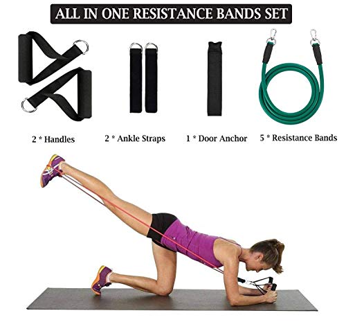 OUNDEAL Gomas Elasticas Musculacion, Gomas Elasticas Fitness con 5 Tubos de Látex, Bandas Elasticas Fitness, Bandas Elasticas Musculacion para Entrenamiento, Fitness, Culturismo OUNDEAL Gomas Elasticas Musculacion, Gomas Elasticas Fitness con 5 Tubos de Látex, Bandas Elasticas Fitness, Bandas Elasticas Musculacion para Entrenamiento, Fitness, Culturismo