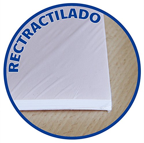 Oxford 100430210 - Recambio de rayas para carpeta A4, 100 hojas, 90 g, con margen