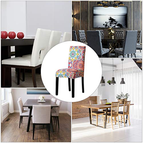 Padgene Fundas de Silla de Comedor Cubiertas Espesas Modernas Elásticas, Extraíbles, Lavables y Duradera, Sillas Altas Protectoras para Cocina, Comedor, Boda Padgene Fundas de Silla de Comedor Cubiertas Espesas Modernas Elásticas, Extraíbles, Lavables y Duradera, Sillas Altas Protectoras para Cocina, Comedor, Boda
