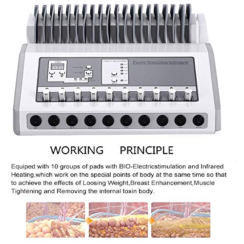 PAKASEPT Electroestimulador EMS Tens Masajeador Digital Meridian Maquina de Fisioterapia Dispositivo de Terapia Máquina de acupuntura electrónica Instrumento de electroterapia PAKASEPT Electroestimulador EMS Tens Masajeador Digital Meridian Maquina de Fisioterapia Dispositivo de Terapia Máquina de acupuntura electrónica Instrumento de electroterapia