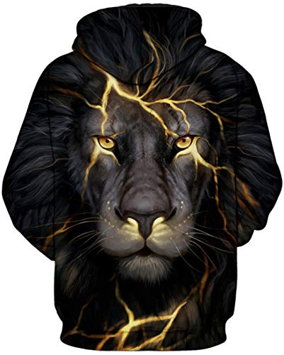 PANOZON Niños Sudadera Deportiva Casual Impresión 3D de Animales Dibujos Animados (L,León luz-23)