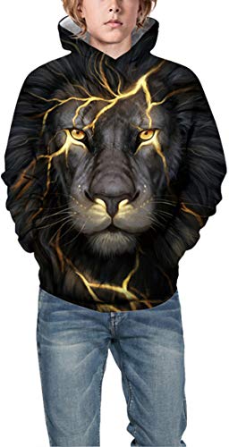 PANOZON Niños Sudadera Deportiva Casual Impresión 3D de Animales Dibujos Animados (L,León luz-23)