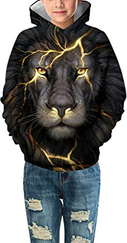 PANOZON Niños Sudadera Deportiva Casual Impresión 3D de Animales Dibujos Animados (L,León luz-23)