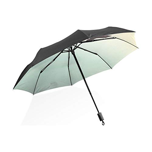 Paraguas invertido Un Hombre remando Un Bote Portátil Compacto Paraguas Plegable Protección contra Rayos UV A Prueba de Viento Viaje al Aire Libre Mujeres Paraguas A Prueba de Viento Impermeable Paraguas invertido Un Hombre remando Un Bote Portátil Compacto Paraguas Plegable Protección contra Rayos UV A Prueba de Viento Viaje al Aire Libre Mujeres Paraguas A Prueba de Viento Impermeable